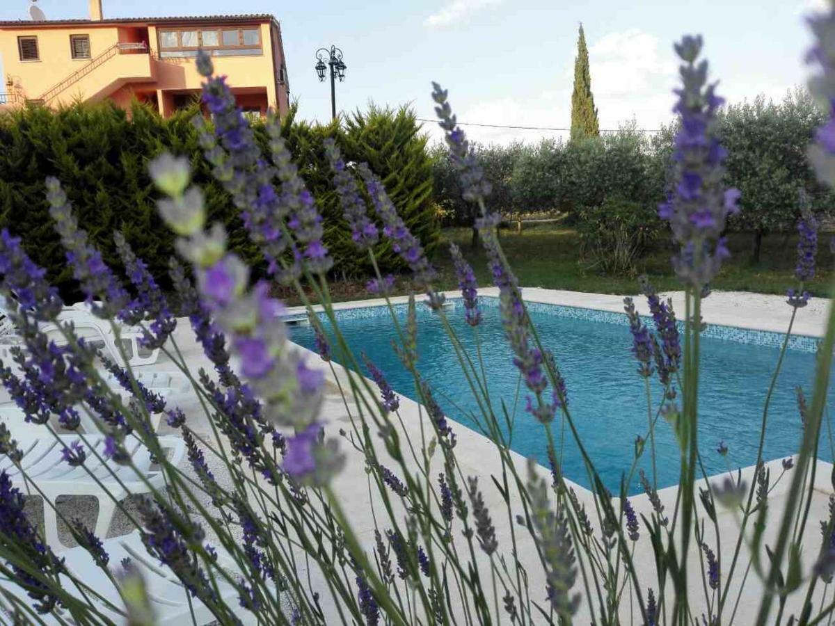 Apartment Rojnic Galižana Zewnętrze zdjęcie